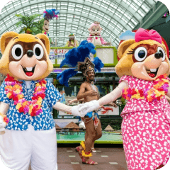 Keeps track of <b>show & parade schedules</b>